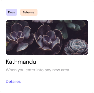 preview dashboard