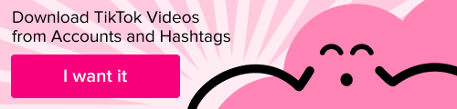 TikTok Video Downloader